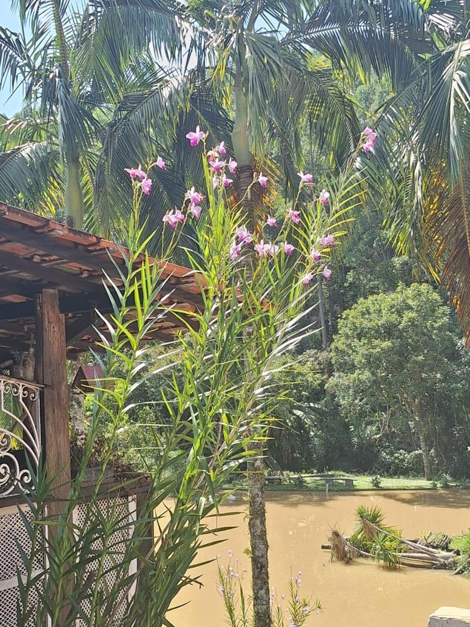 Chácara ladeira de Pedra Salesópolis Exterior foto
