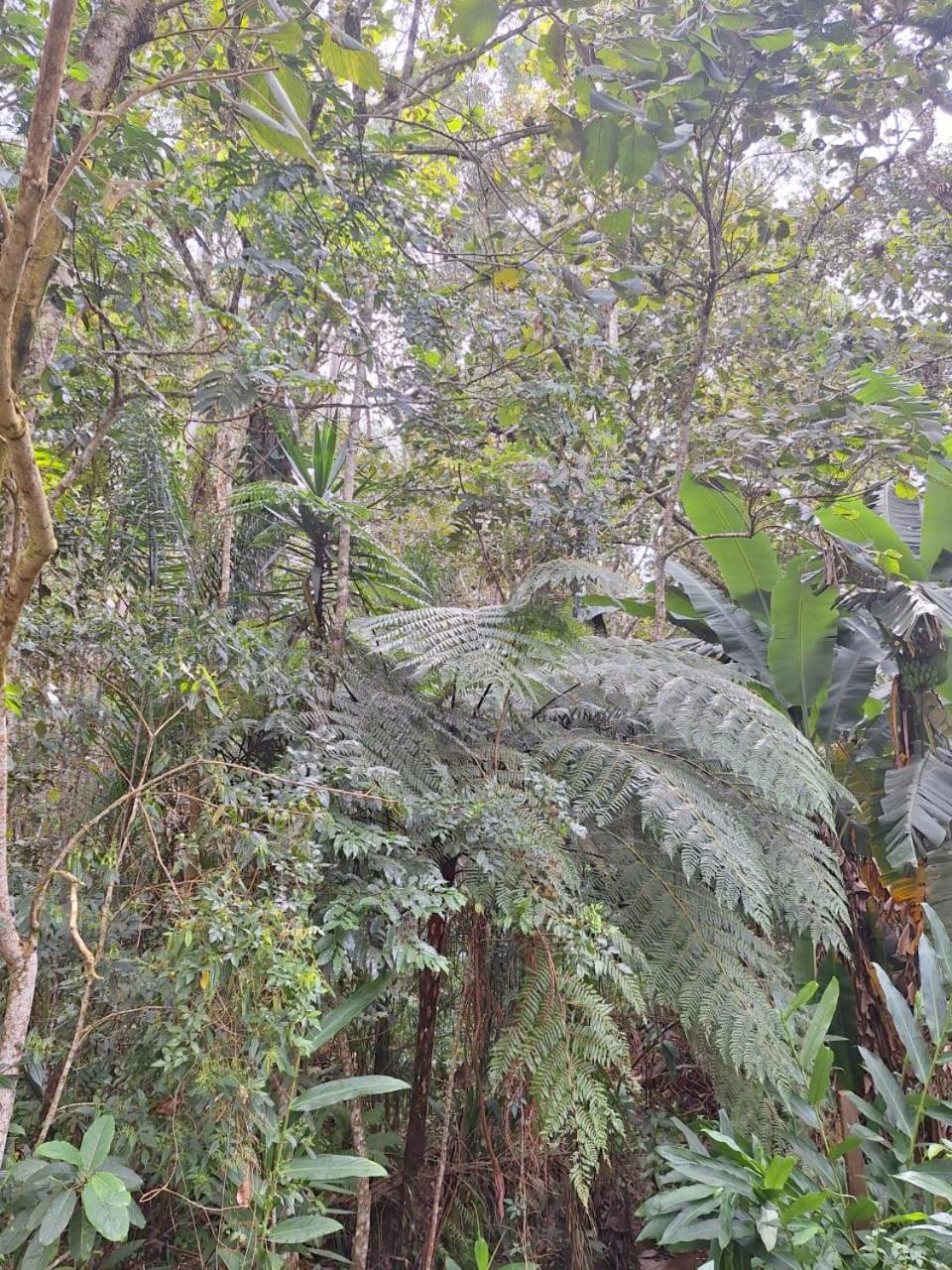 Chácara ladeira de Pedra Salesópolis Exterior foto