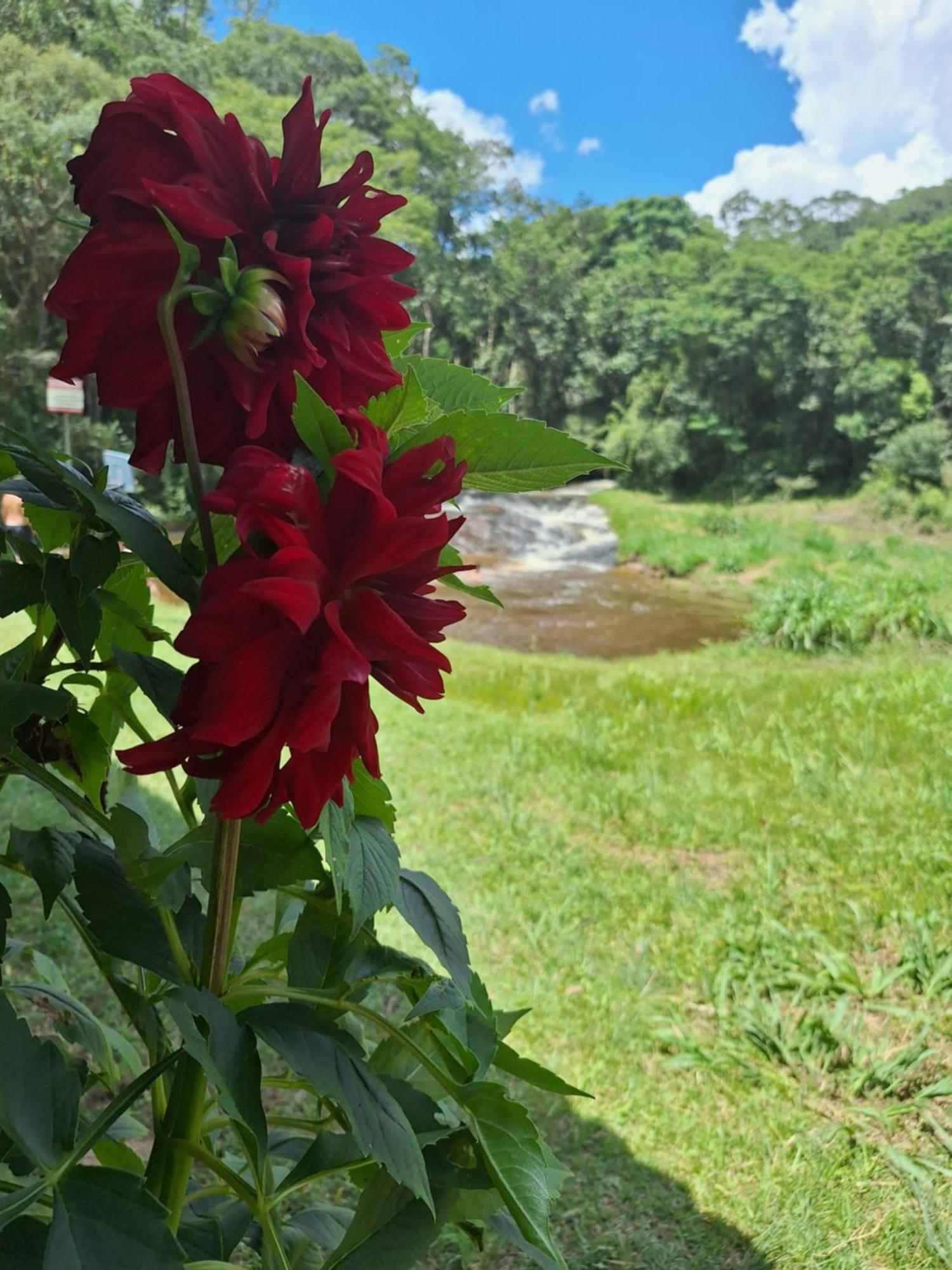 Chácara ladeira de Pedra Salesópolis Exterior foto
